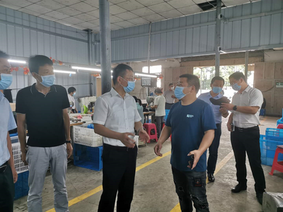 王建華在浮屠調(diào)研脫貧攻堅、鄉(xiāng)村振興和巡視反饋問題整改工作