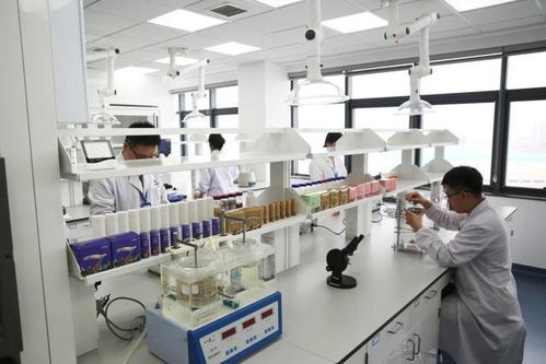 科技賦能研發，鍛造高質量產品——康婷慧科技的技術開發之路